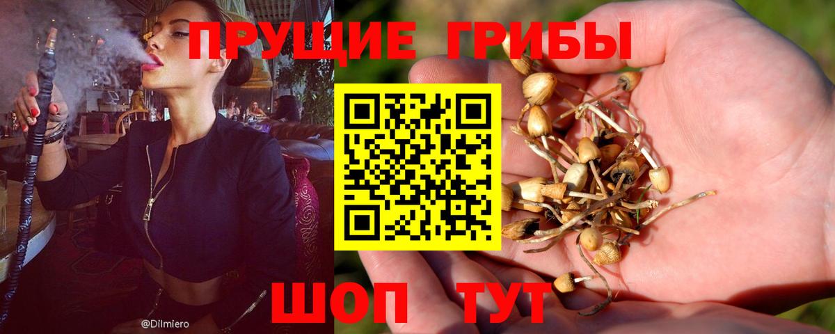 Галлюциногенные грибы мицелий  Вход с VPN  Псилоцибиновые грибы MAGIC MUSHROOMS  Мурино 
